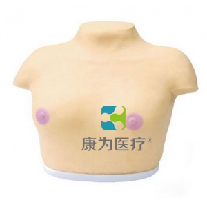 “康為醫(yī)療”高級(jí)乳腺視診與觸診模型,乳腺癌視診與觸診操作模型