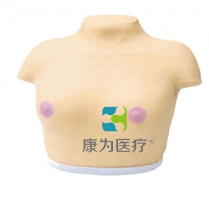 “康為醫(yī)療”高級(jí)乳腺視診與觸診模型,乳腺癌視診與觸診操作模型