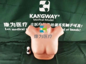 “康為醫(yī)療”高級乳腺視診與觸診模型,乳腺癌視診與觸診操作模型,乳腺檢查模型