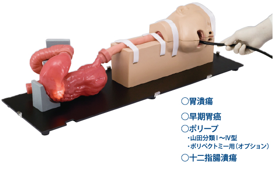 日本進口胃鏡手術(shù)訓(xùn)練模擬器